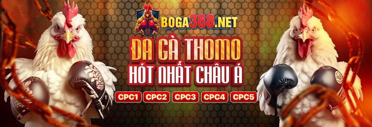 Thông báo sự kiện đá gà 58win chính thức