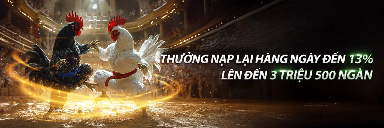 Đá gà trực tuyến kịch tính tại 58win chính thức