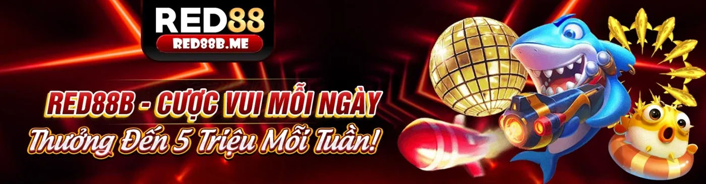 Đá gà 58win chính thức